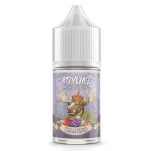 MTL – KOYUKIS ROYAL – KAMINO