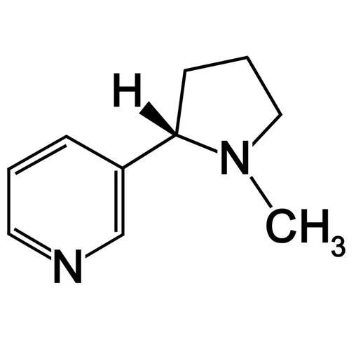 Nikotinshot 10ml - Image 2