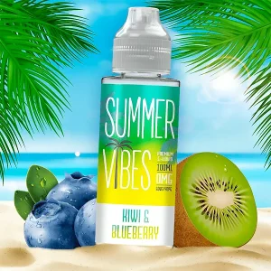 Summer Vibes – Kiwi & Blueberry (100ml)