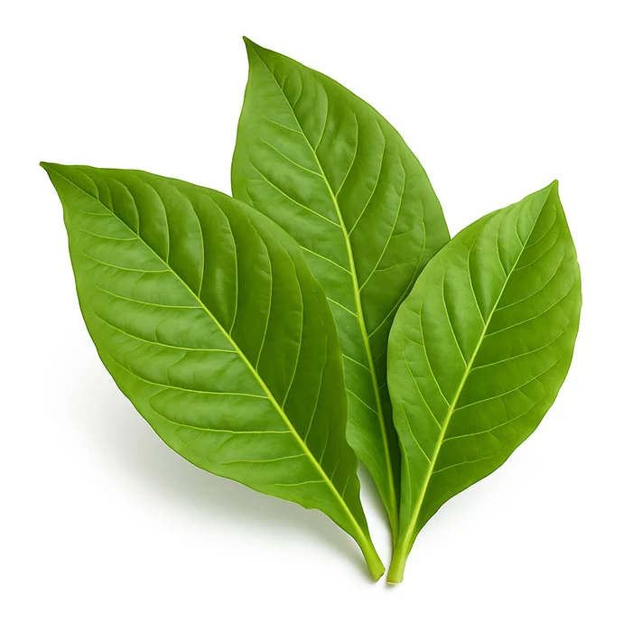 TFA Tobacco Essens