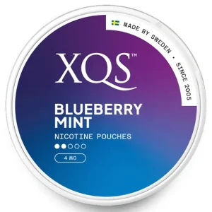 XQS – BLUEBERRY MINT – 4 MG