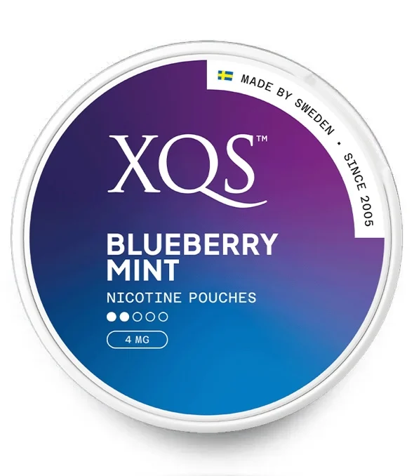 XQS – BLUEBERRY MINT – 4 MG