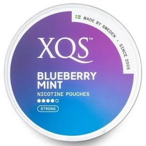 XQS – BLUEBERRY MINT – 8 MG
