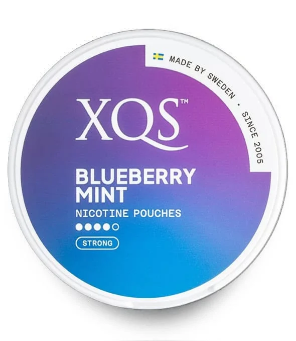 XQS – BLUEBERRY MINT – 8 MG