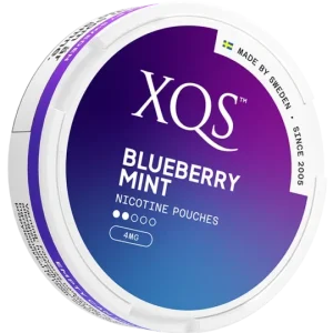 XQS – Blueberry Mint – Slim (4 mg/portion)