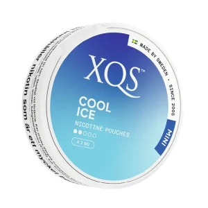 XQS – Cool Ice – Mini (4,2 mg/portion)